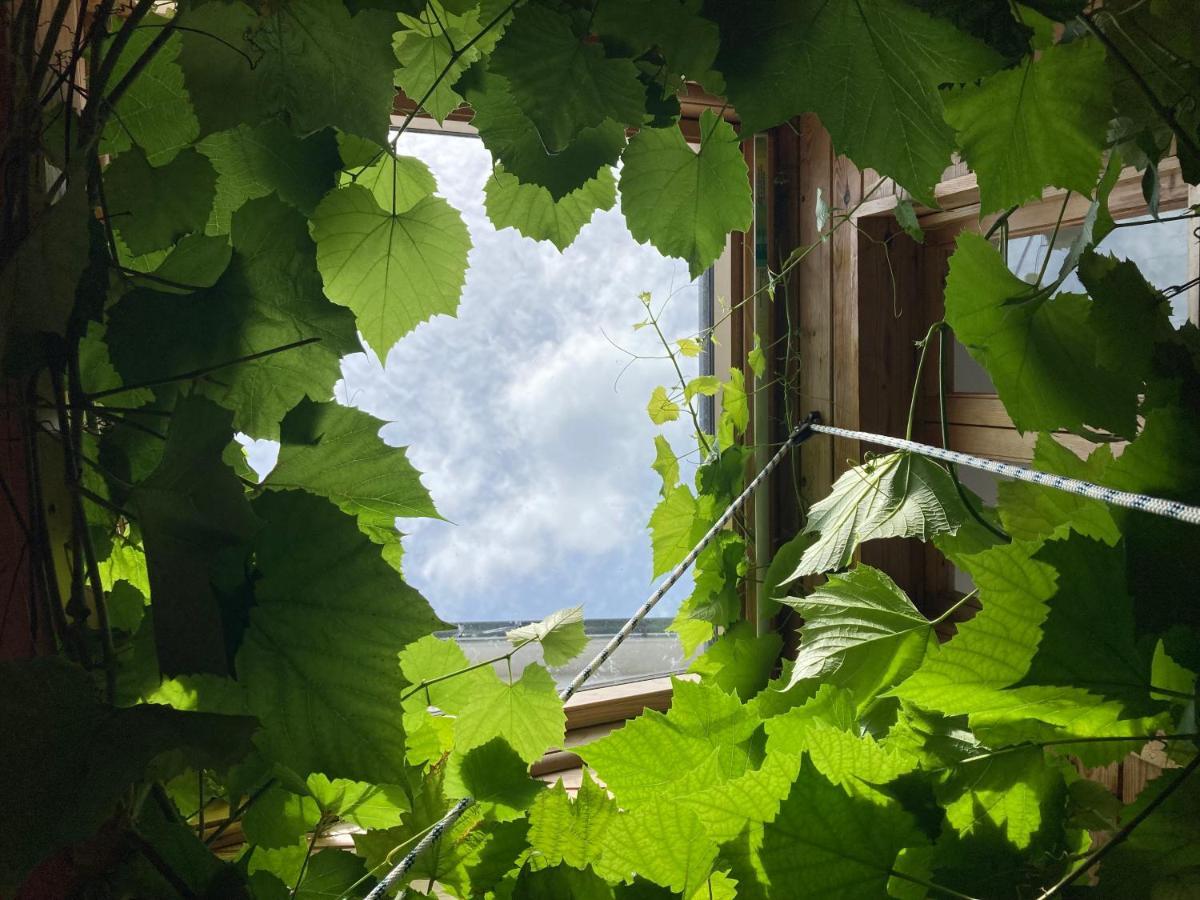 The Vineyard Apartment