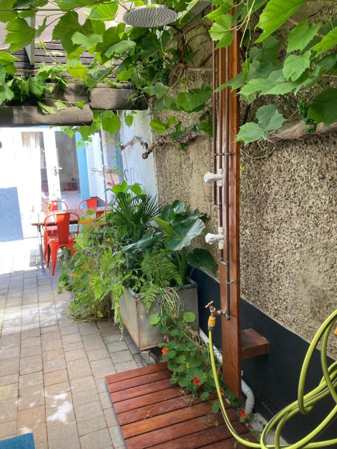 The Vineyard Apartment